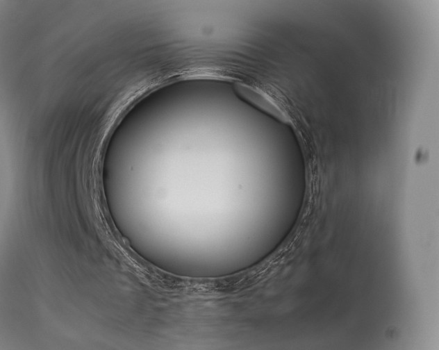 X0000113260289200909171656