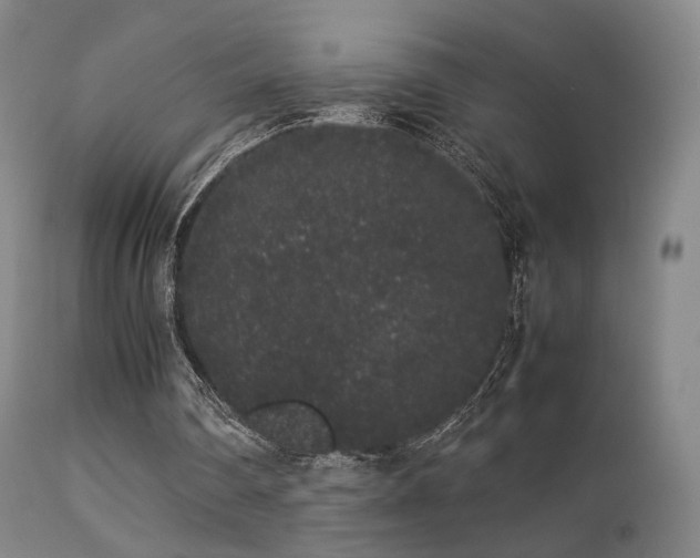 X0000113260290200909171656