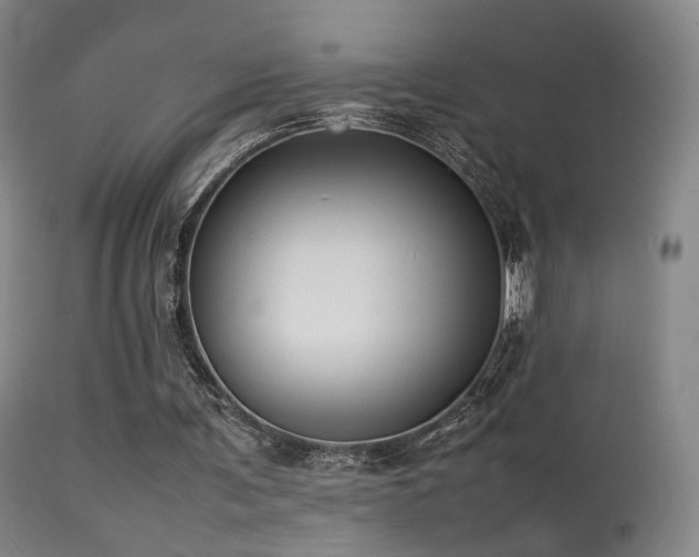 X0000113260291200909171656