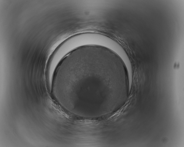 X0000113260292200909171656