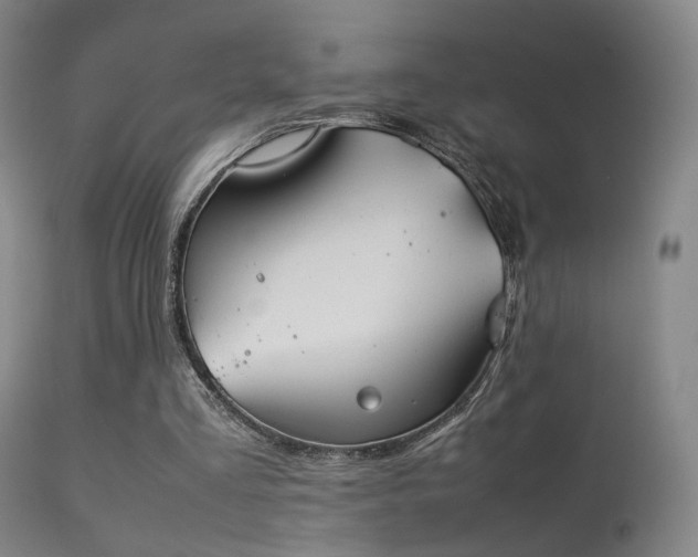 X0000113260293200909171656