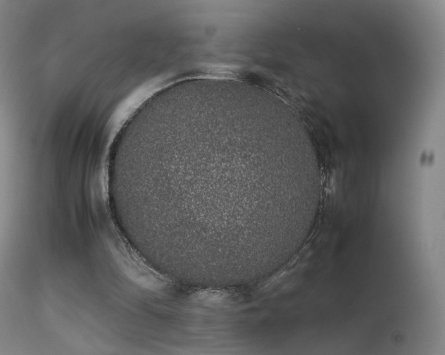 X0000113260294200909171656