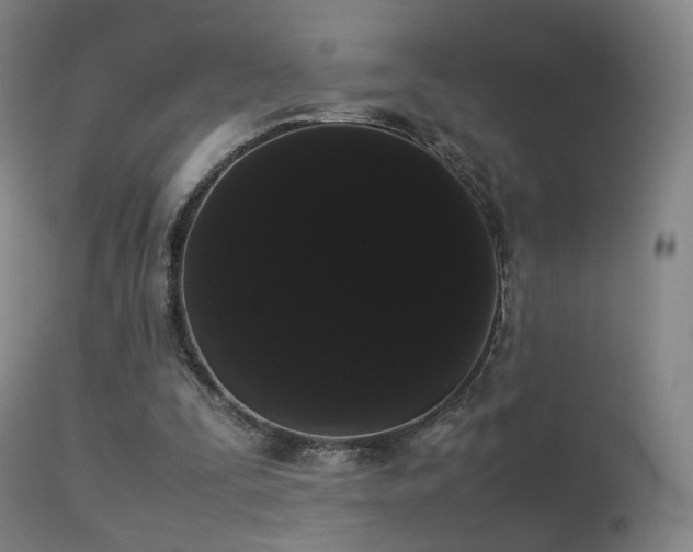 X0000113260295200909171656