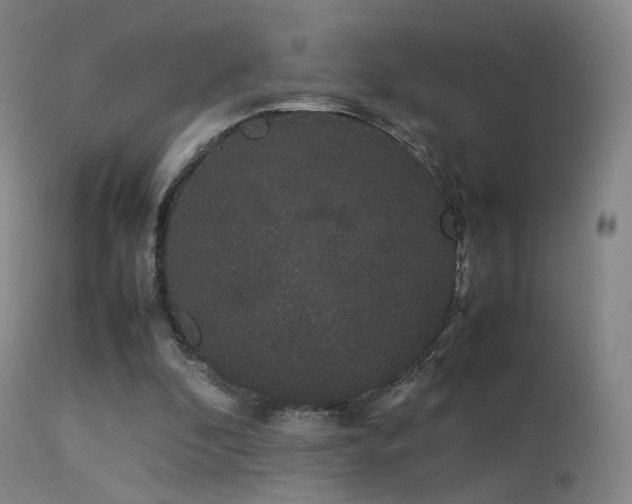 X0000113260296200909171656