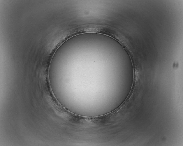 X0000113260297200909171656