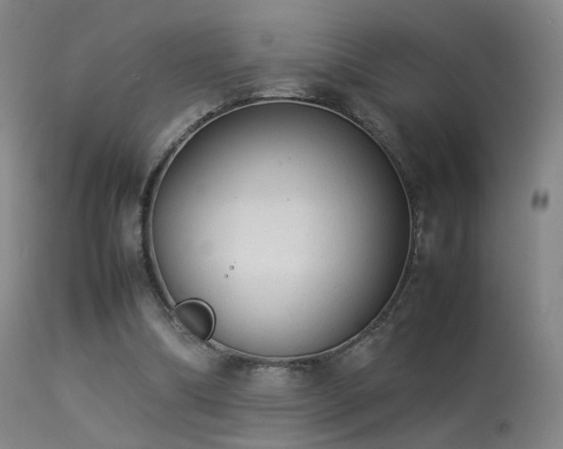 X0000113260298200909171656