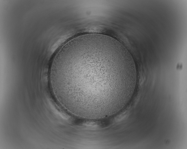 X0000113260299200909171656