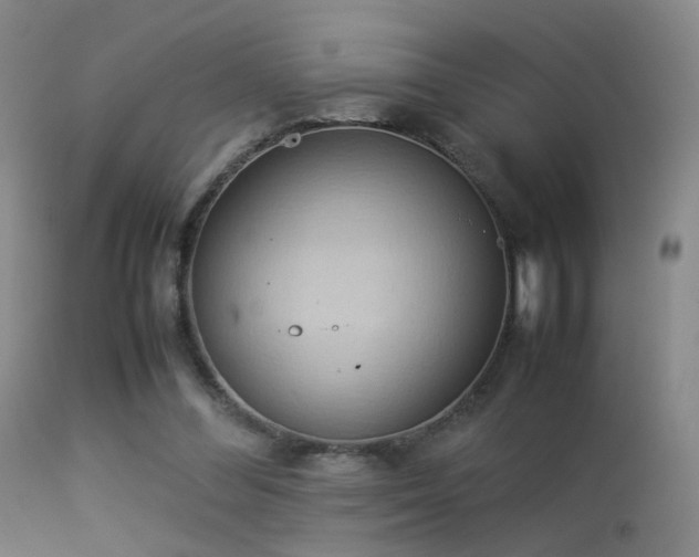 X0000113260300200909171656