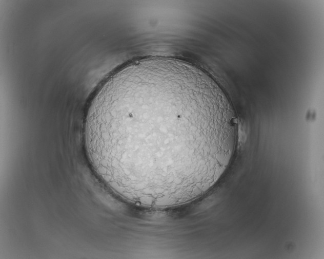 X0000113260301200909171656