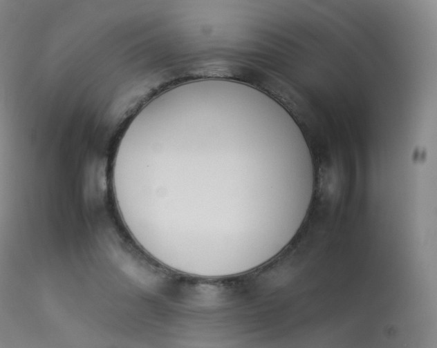 X0000113260302200909171656