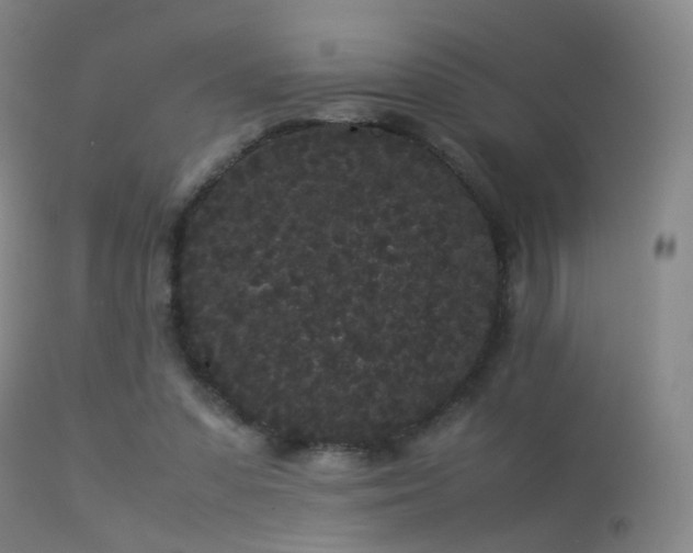 X0000113260303200909171656