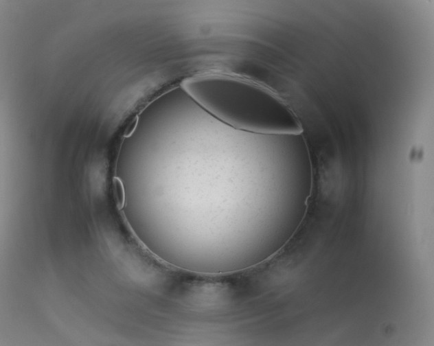 X0000113260304200909171656