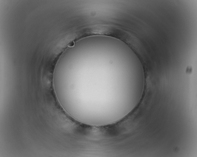 X0000113260305200909171656