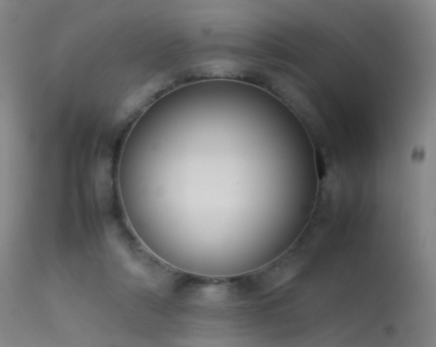 X0000113260306200909171656