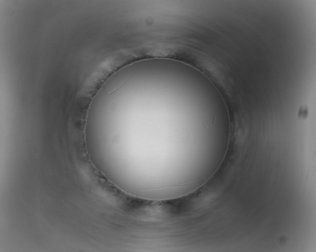 X0000113260307200909171656