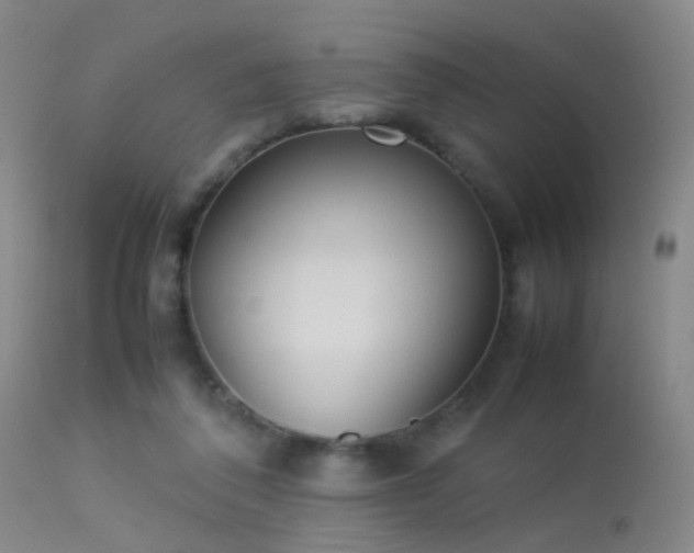 X0000113260308200909171656