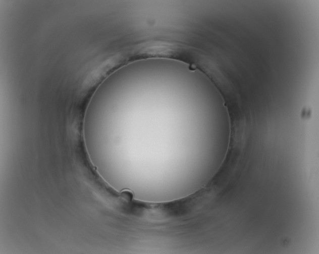 X0000113260309200909171656