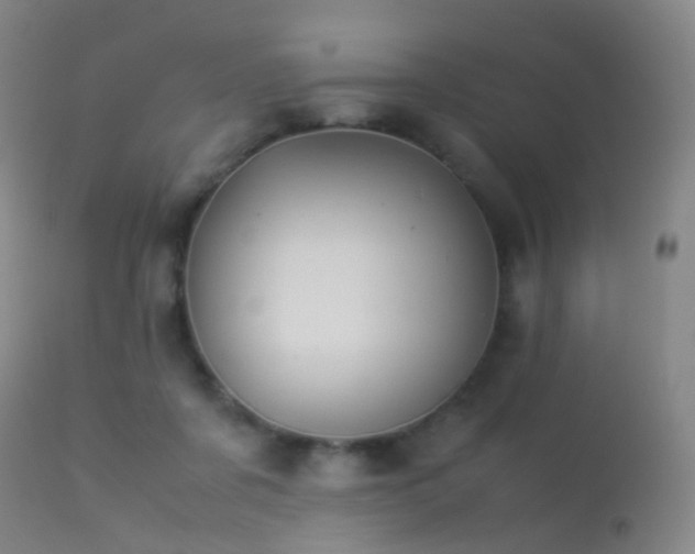 X0000113260311200909171656