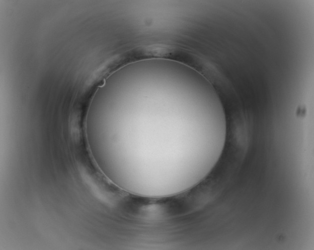 X0000113260312200909171656