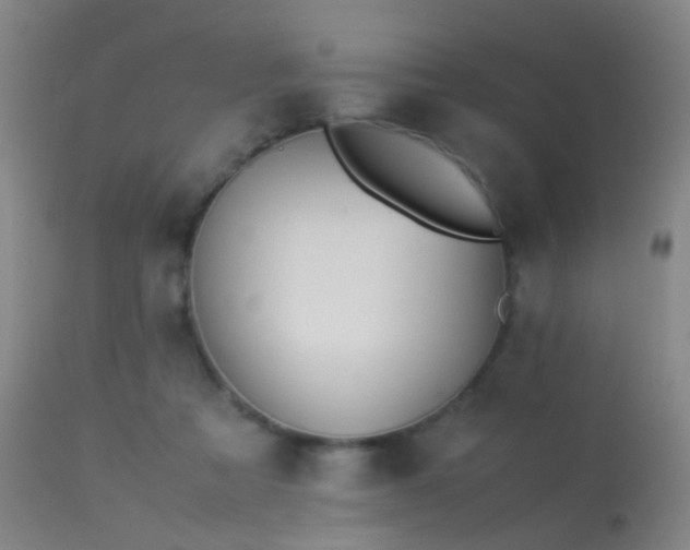 X0000113260313200909171656