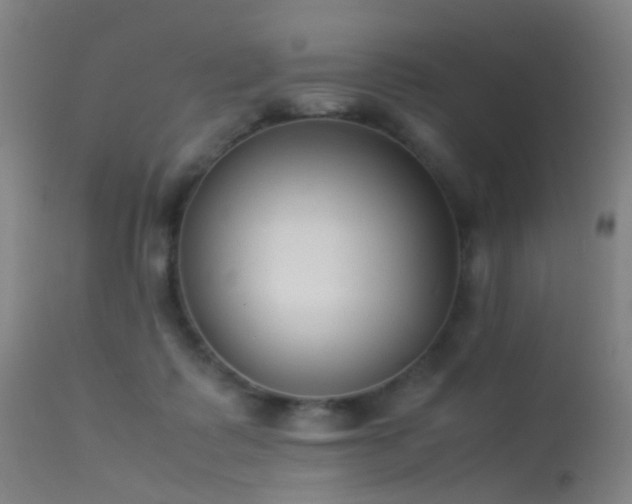 X0000113260315200909171656