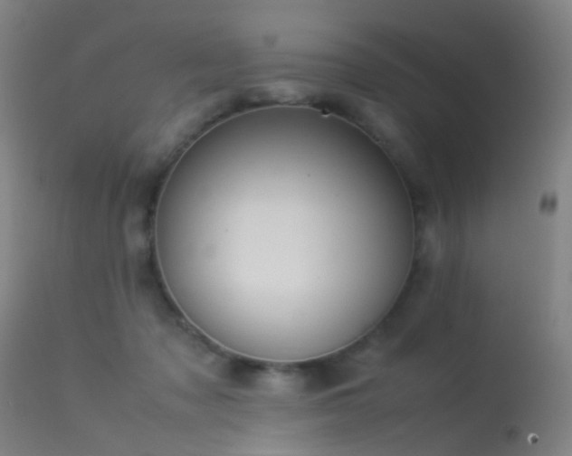 X0000113260317200909171655