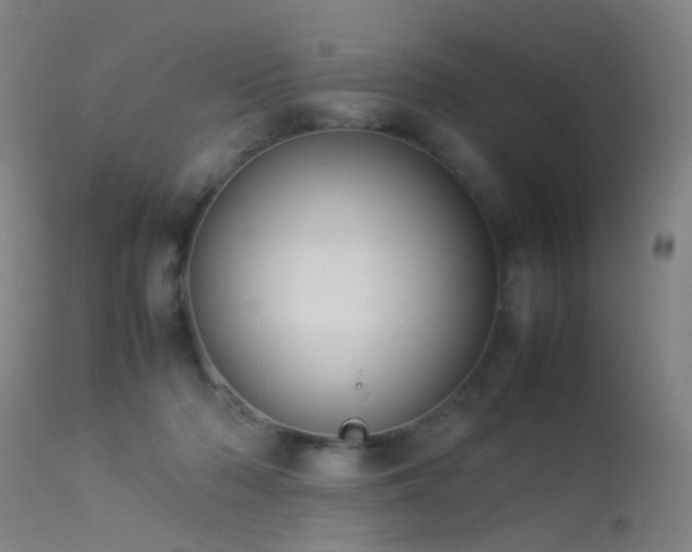 X0000113260318200909171655