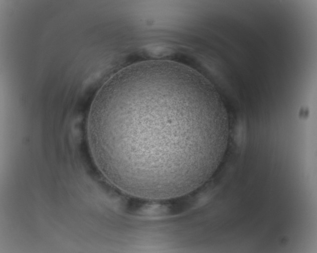 X0000113260319200909171655