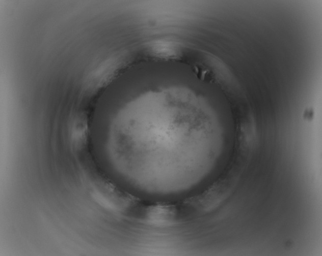 X0000113260320200909171655