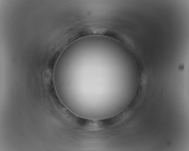 X0000113260321200909171655