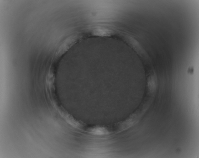 X0000113260322200909171655