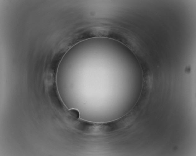 X0000113260323200909171655