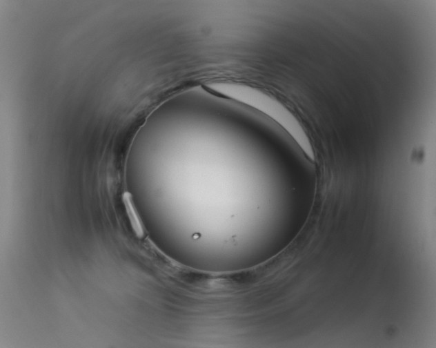 X0000113260324200909171655