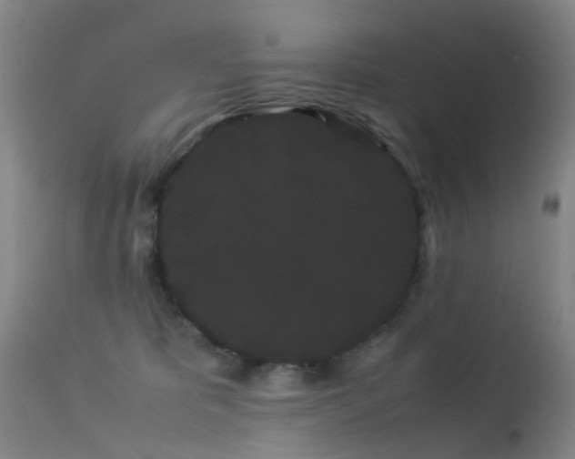 X0000113260325200909171655