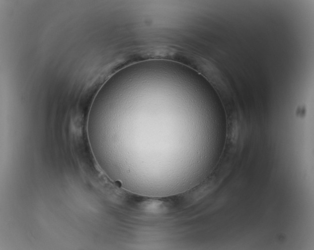 X0000113260326200909171655