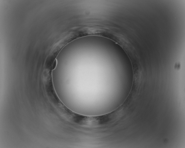 X0000113260327200909171655