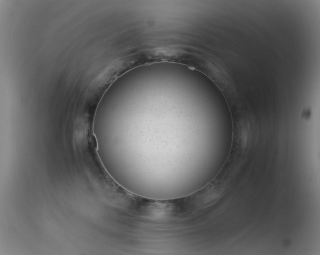 X0000113260328200909171655