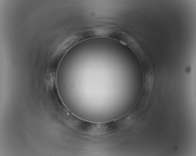 X0000113260329200909171655