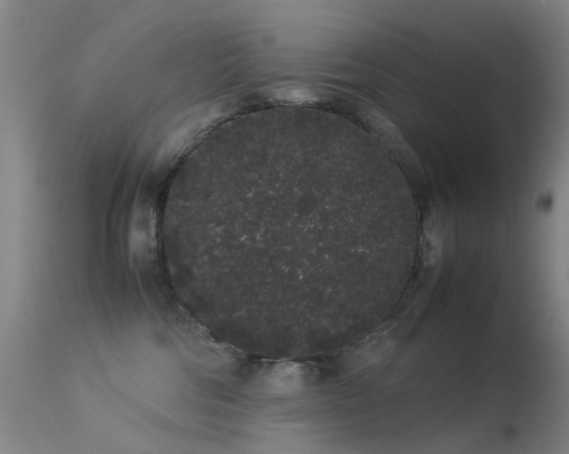 X0000113260330200909171655