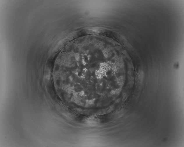 X0000113260331200909171655