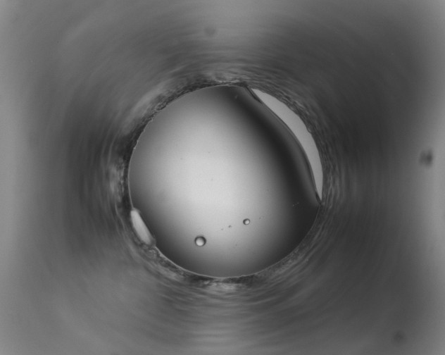 X0000113260332200909171655