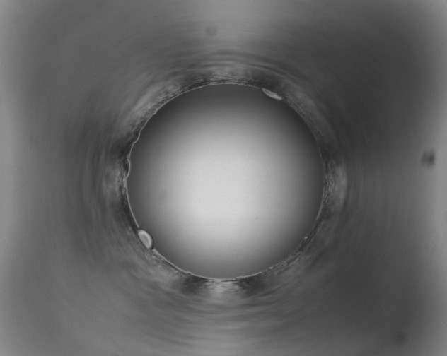 X0000113260333200909171655