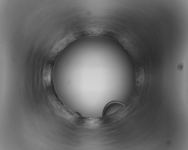 X0000113260334200909171655