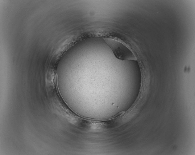 X0000113260336200909171655