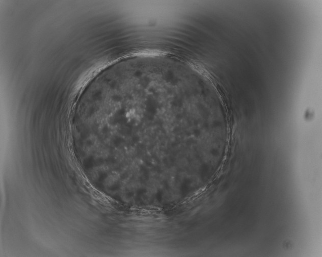 X0000113260337200909171655