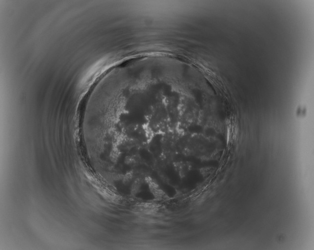 X0000113260339200909171655