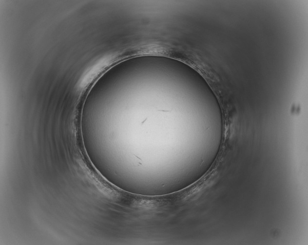 X0000113260341200909171655