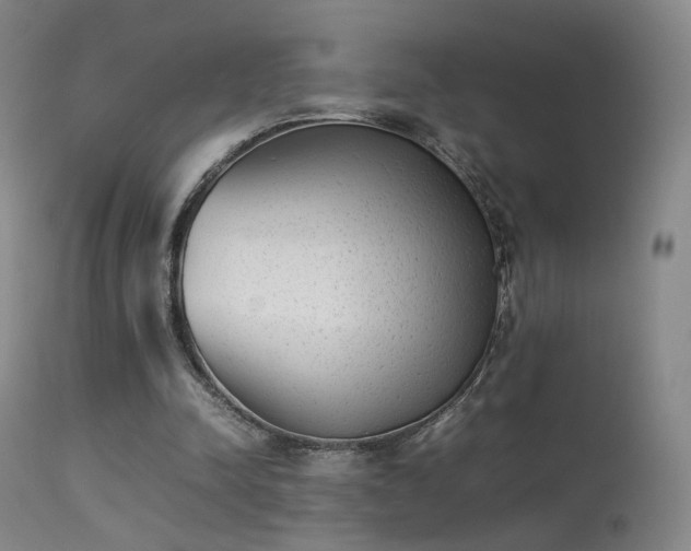 X0000113260342200909171655