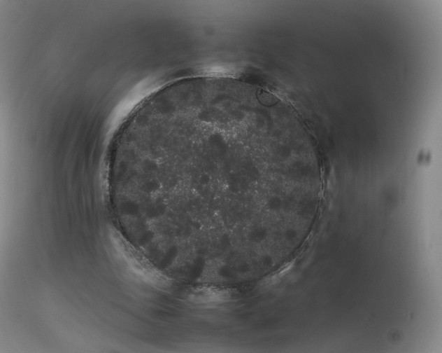 X0000113260343200909171655