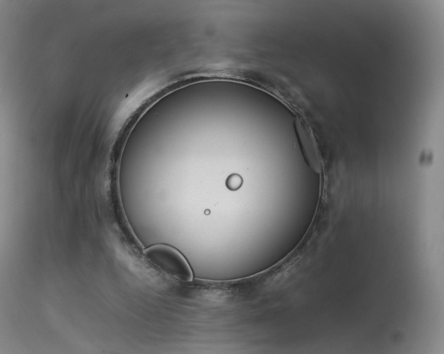 X0000113260344200909171655